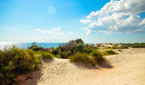 Пансионат Солнечный, Анапа, Джемете