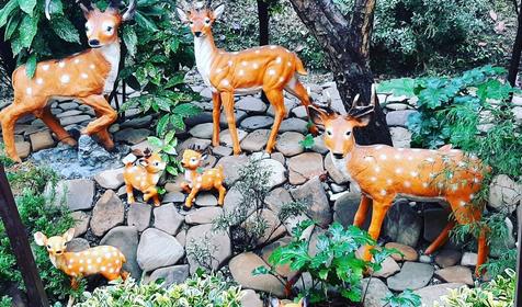 Райский уголок