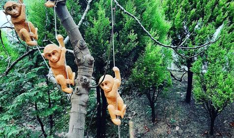 Райский уголок