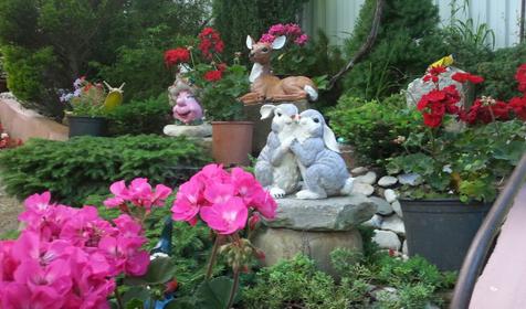 Райский уголок