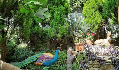 Райский уголок