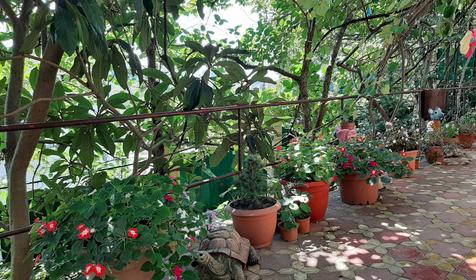 Райский уголок