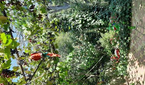 Райский уголок