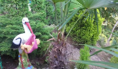 Райский уголок