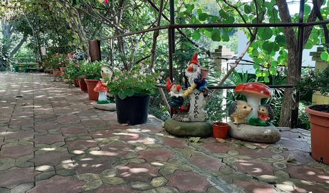 Райский уголок