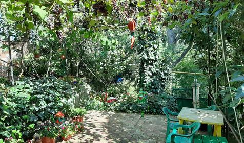 Райский уголок