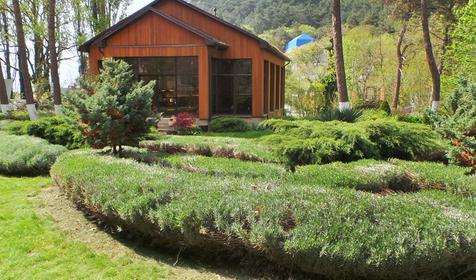 Пансионат Джанхот, г. Геленджик, п. Джанхот