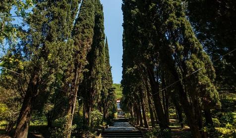 Санаторий Аврора, п. Аше