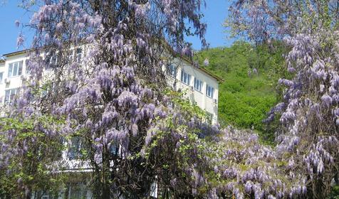 Санаторий Аврора, п. Аше