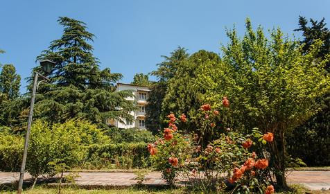 Санаторий Аврора, п. Аше