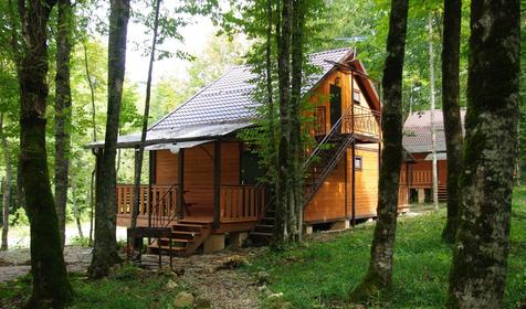 Зеленый Гай