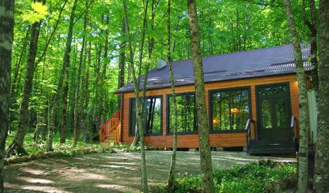 Зеленый Гай