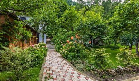 Гостевой дом Августа. Сочи, Лазаревский райн, п. Аше