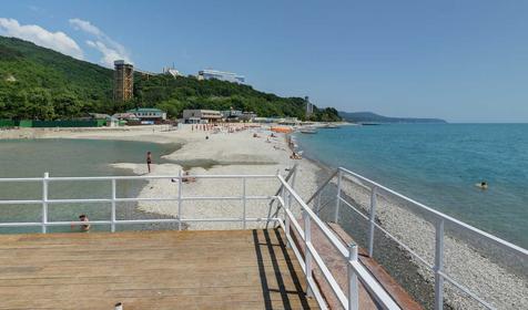 Розовый дельфин