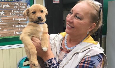 Грэгори-Клаб&Хутор Труд