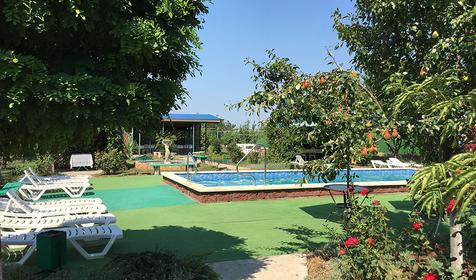 Грэгори-Клаб&Хутор Труд