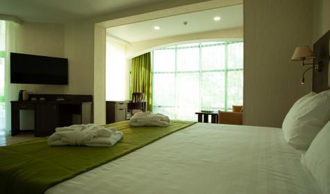 Студия. Отель Экодом, Город Сочи