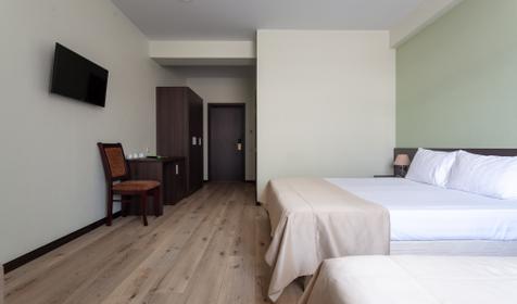 Трехместный стандарт. Экодом Адлер, Сочи, Адлер