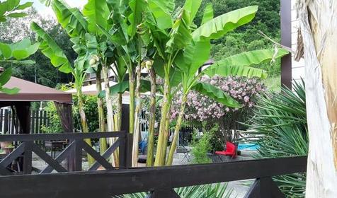 Гостевой дом Пиратская пристань, Сочи, Лазаревский район, пос. Якорная щель