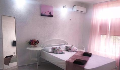 Двухместная розовая