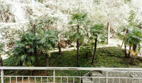 Комфорт с видом на город. Арт-отель, Сочи, Хоста