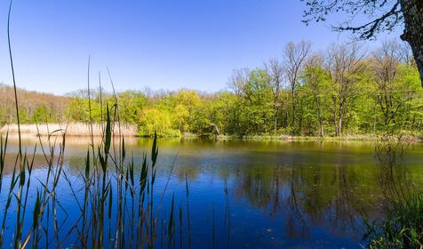База отдыха Яблочный гусь, Северский р-он, п. Тхамаха