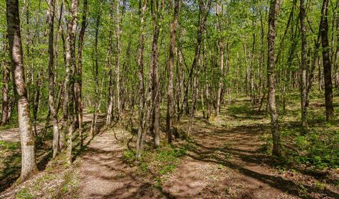 База отдыха Яблочный гусь, Северский р-он, п. Тхамаха