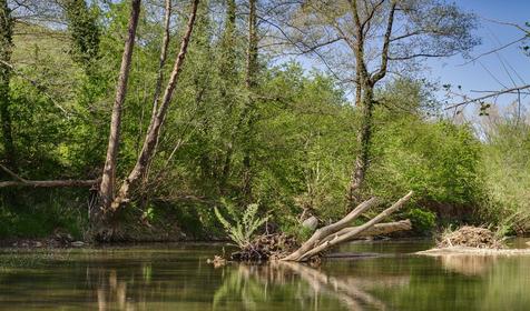 База отдыха Яблочный гусь, Северский р-он, п. Тхамаха