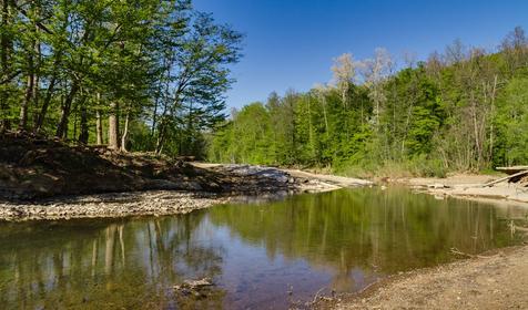 База отдыха Яблочный гусь, Северский р-он, п. Тхамаха