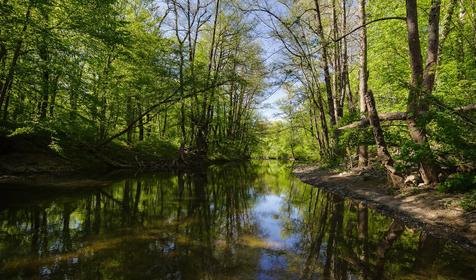 База отдыха Яблочный гусь, Северский р-он, п. Тхамаха