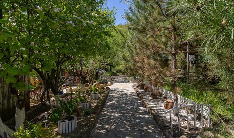 База отдыха Яблочный гусь, Северский р-он, п. Тхамаха