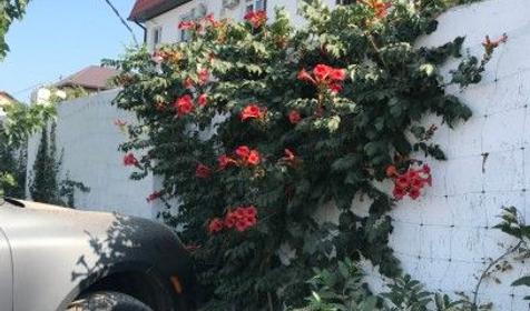 Гостевой дом На Ленина, Кучугуры