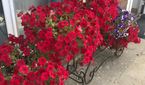 Двухместная розовая. Отель Двухместная розовая Бриз, Кучугуры