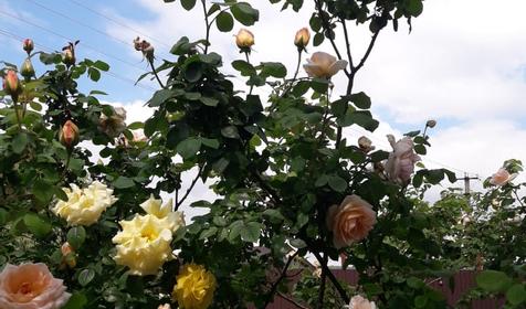 Дом комфорта и уюта