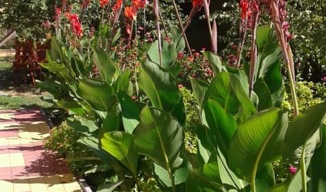 Дом комфорта и уюта