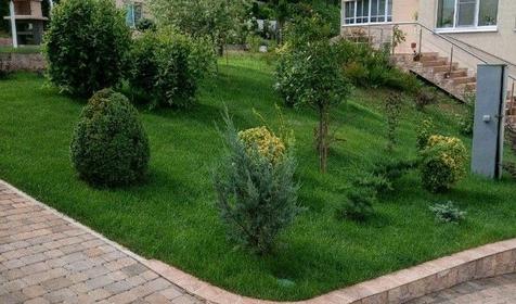 Апартаменты Сосновый берег, Туапсинский район, п. Сосновый