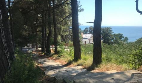 Сосновый Берег