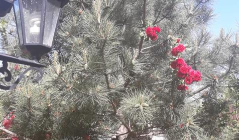 Дом комфорта и уюта