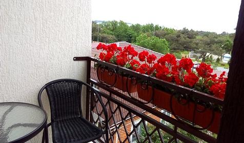 Люкс однокомнатный трехместный трехместный