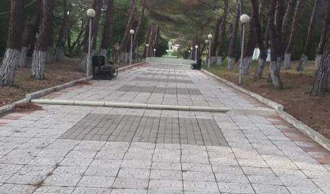 Компания Смена