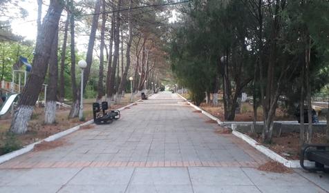 Компания Смена