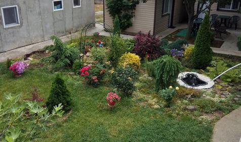 Апартаменты, 1 этаж