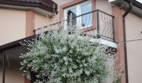 Частный дом в Даховской