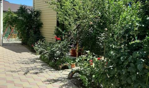 У двух сестер