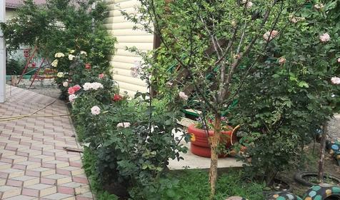 У двух сестер