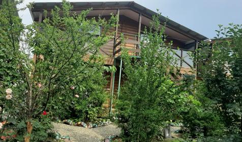 У двух сестер