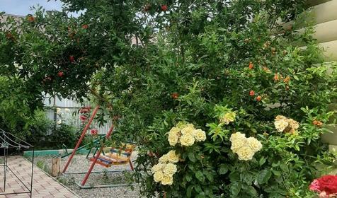 У двух сестер