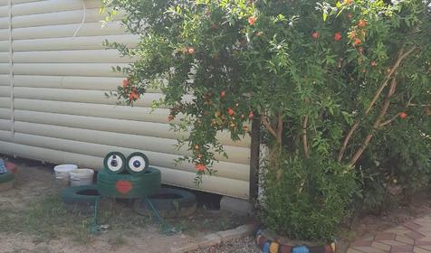 У двух сестер