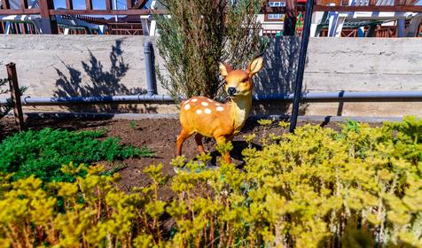 Усадьба Соленое Озеро, Темрюкский район, Веселовка