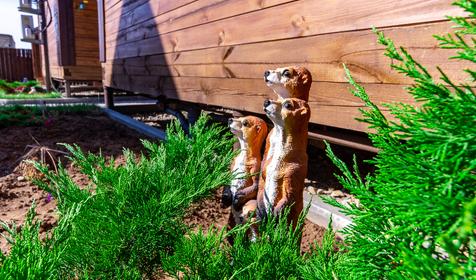 Усадьба Соленое Озеро, Темрюкский район, Веселовка